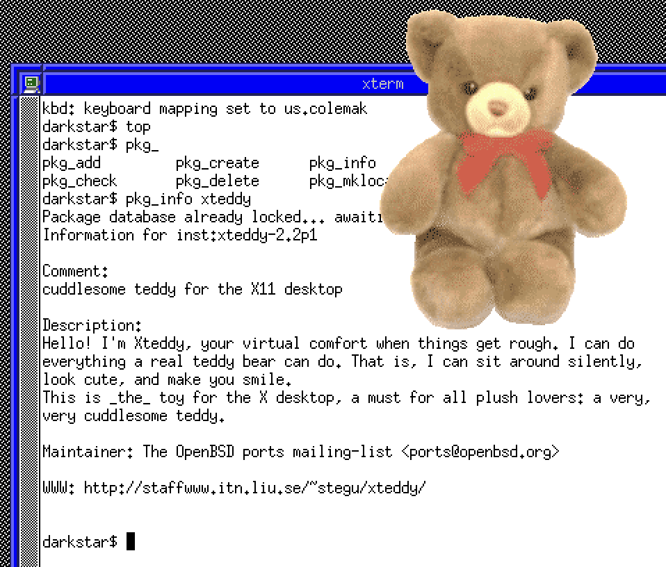 xteddy on OpenBSD 7.9